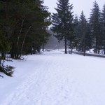winterbilder-003