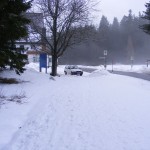 winterbilder-005