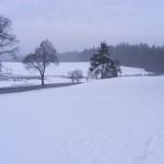 winterbilder-001